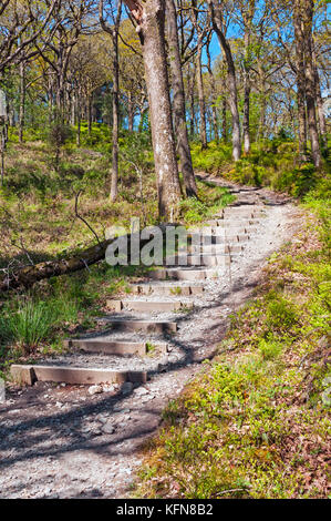 Escaliers intégrés dans une colline le long de la West Higland Way Trail, Ecosse Banque D'Images