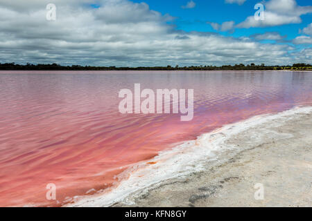 Dans le lac de sel rose dimboola Victoria Banque D'Images