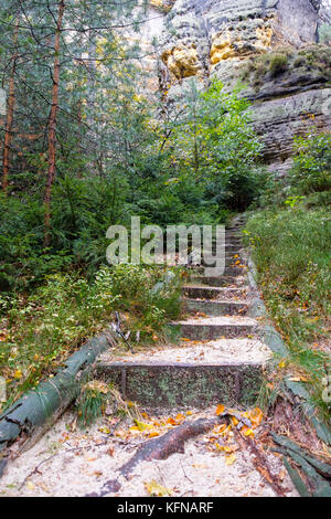 Im Herbst Elbsandsteingebirge Région Bad Schandau Schrammsteine Banque D'Images