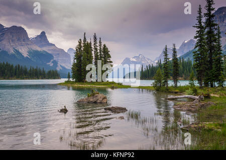 Île Spirit Island dans le lac maligne, AB, Canada Banque D'Images