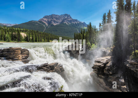 Les chutes Athabasca dans le parc national Jasper Banque D'Images
