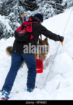 Service de sauvetage en montagne de sauveteur à l'organisation de la Croix-Rouge participe à un entraînement avec son chien. les hommes et les animaux sont formés avant d'aller Banque D'Images