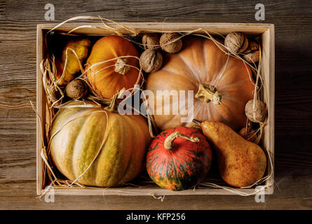 Les citrouilles et les noix dans la case Banque D'Images