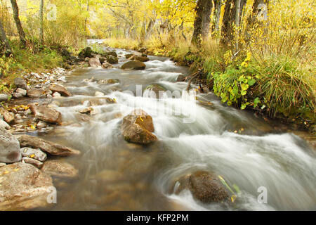 Rivière qui coule à l'automne Banque D'Images