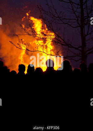Feu de joie Banque D'Images