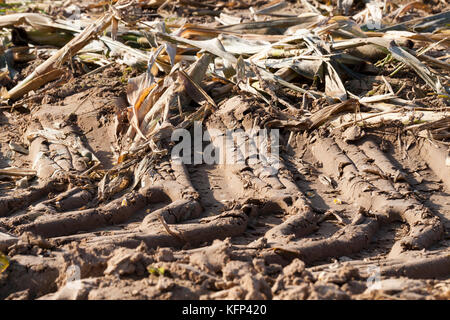 Tracteur trail Banque D'Images
