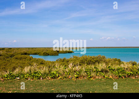 Roebuck Bay dans la région de Broome , le nord-ouest de l'Australie, avec les bas fonds vaseux dans la vie marine abondante avec de grandes marées, les mangroves, les falaises rouges et les marées. Banque D'Images