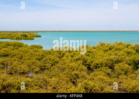 Roebuck Bay dans la région de Broome , le nord-ouest de l'Australie, avec les bas fonds vaseux dans la vie marine abondante avec de grandes marées, les mangroves, les falaises rouges et les marées. Banque D'Images