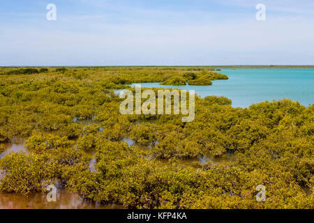 Roebuck Bay dans la région de Broome , le nord-ouest de l'Australie, avec les bas fonds vaseux dans la vie marine abondante avec de grandes marées, les mangroves, les falaises rouges et les marées. Banque D'Images