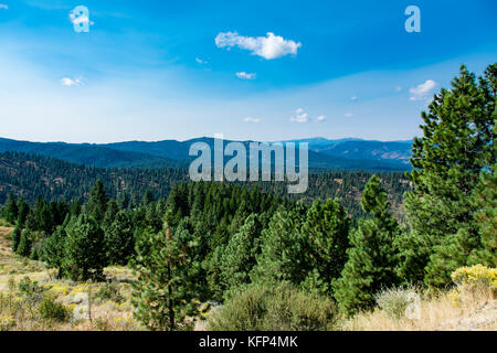 Vue panoramique de la Forêt Nationale de Boise en Idaho, USA Banque D'Images