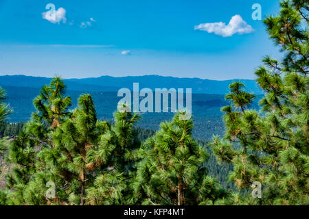 Vue panoramique de la Forêt Nationale de Boise en Idaho, USA Banque D'Images