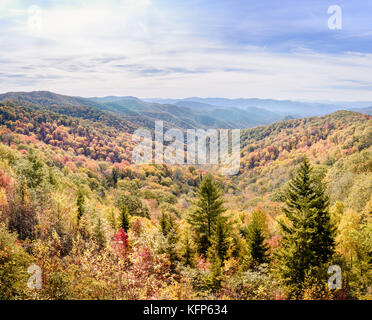 Vue panoramique sur couleurs d'automne sur le Great Smoky Mountains National Park avec un peu de l'espace négatif Banque D'Images