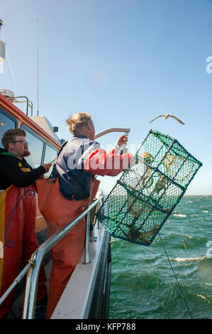 La langoustine La pêche au large de la météo îles dans l'archipel de Bohuslän, ouest de la Suède. Banque D'Images