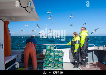 La langoustine La pêche au large de la météo îles dans l'archipel de Bohuslän, ouest de la Suède. Banque D'Images