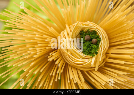 Arrière-plan de gros plan pâtes spaghetti et tagliatelle aux. persil frisé poivre épicé et comme un nid d'oiseau Banque D'Images