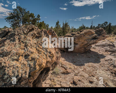 Le bois pétrifié dans la région de Escalante Petrified Forest State Park dans l'Utah, États-Unis Banque D'Images