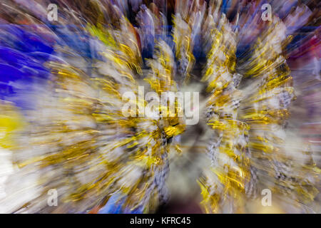 Défilé de l'école de samba, sont vus marcher dans l'avenue Marques de Sapucai, durant le carnaval de Rio de Janeiro. Sambódromo. Banque D'Images