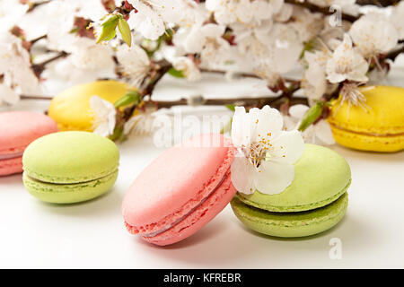 Vert, jaune, rose macarons sur fond blanc à l'encontre de l'épanouissement de la direction générale d'abricot Banque D'Images