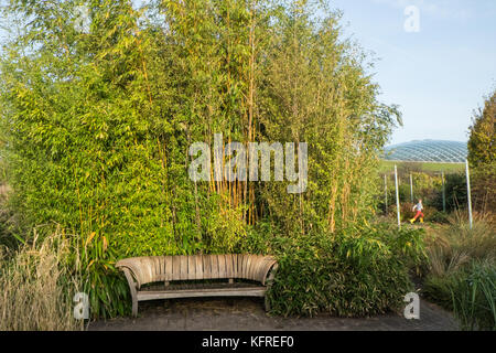 Banc,et,bambou,jardin,à double paroi, à,Jardin Botanique National du Pays de Galles,Llanarthney,Carmarthenshire, Pays de Galles, l'Europe.Gardens Banque D'Images