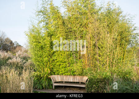 Banc,et,bambou,jardin,à double paroi, à,Jardin Botanique National du Pays de Galles,Llanarthney,Carmarthenshire, Pays de Galles, l'Europe.Gardens Banque D'Images