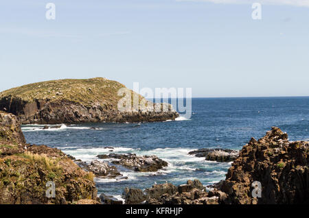 Elliston Terre-neuve est un petit village de pêcheurs sur la péninsule de Bonavista, qui a été constituée en 1965. Il est connu sous le nom de caveau et capital Banque D'Images