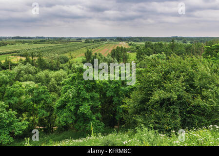 Vue aérienne depuis le château des Ducs de Masovian situé dans le village de Czersk, à la Voïvodeship de Masovian en Pologne Banque D'Images