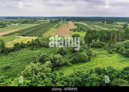 Champs et vergers vus du château des Ducs de Masovian situé dans le village de Czersk, à la Voïvodeship de Masovian en Pologne Banque D'Images