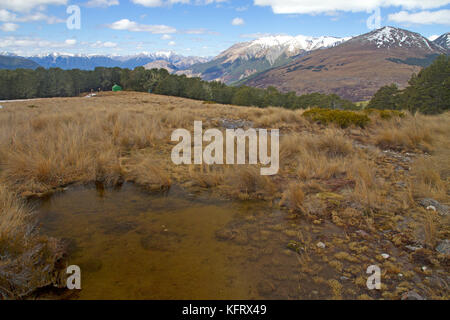 Épi bealey hut à Arthur's pass national park Banque D'Images