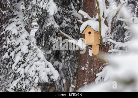 Mangeoire pour oiseaux dans la forêt d'hiver fourrés. Banque D'Images