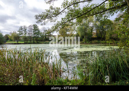 Une vue sur le lac Supérieur à tonne en Afrique du Staffordshire près de Wolverhampton. Banque D'Images