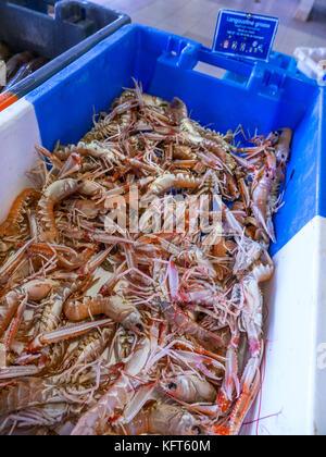 Grandes Langoustines fraîches en vente au petit étal du marché aux poissons du port à Port Belon Bretagne France Banque D'Images