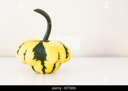 Petite courge d'automne jaune et vert avec une longue tige sur fond neutre Banque D'Images