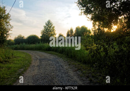 Chemin de terre à travers la forêt en été 24, Russie Banque D'Images