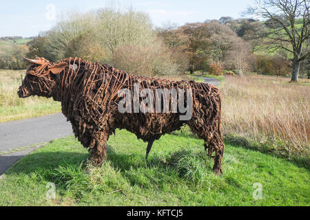 Dans le jardin sauvage, est 'le' Tarw taureau noir gallois, sculpture,par Sally Matthews.Jardin Botanique National du Pays de Galles, Llanarthe,Carmarthenshire, Pays de Galles, Royaume-Uni, Banque D'Images