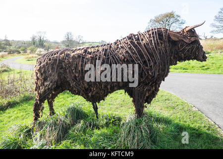 Dans le jardin sauvage, est 'le' Tarw taureau noir gallois, sculpture,par Sally Matthews.Jardin Botanique National du Pays de Galles, Llanarthe,Carmarthenshire, Pays de Galles, Royaume-Uni, Banque D'Images