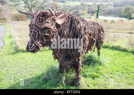 Dans le jardin sauvage, est 'le' Tarw taureau noir gallois, sculpture,par Sally Matthews.Jardin Botanique National du Pays de Galles, Llanarthe,Carmarthenshire, Pays de Galles, Royaume-Uni, Banque D'Images