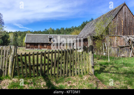 Ferme abandonnée dans la forêt de Kampinos (en polonais : Puszcza Kampinoska) - vaste complexe forestier situé à Voïvodeship de Masovian, à l'ouest de Varsovie en Pologne Banque D'Images