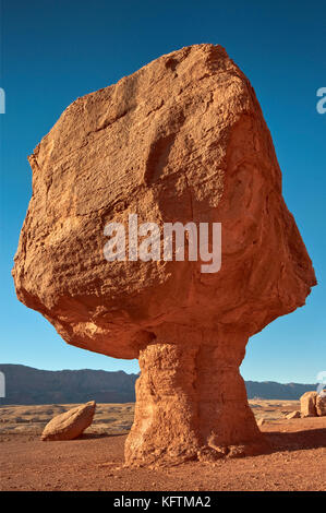 Balanced Rocks, près de Lees Ferry, Glen Canyon National Recreation Area, Arizona, États-Unis Banque D'Images