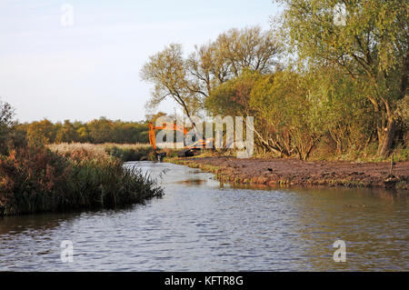 Un JCB travaillant sur l'entretien des digues et des berges par la rivière Ant sur les Norfolk Broads à Ludham, Norfolk, Angleterre, Royaume-Uni. Banque D'Images