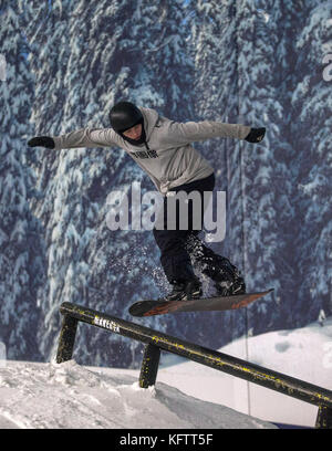 Des athlètes lors d'une démonstration sur la piste pendant la journée médiatique avant PyeongChang 2018 au Snow Centre, Hemel Hempstead. APPUYEZ SUR ASSOCIATION photo. Date de la photo: Mardi 31 octobre 2017. Le crédit photo devrait se lire: Steven Paston/PA Wire Banque D'Images