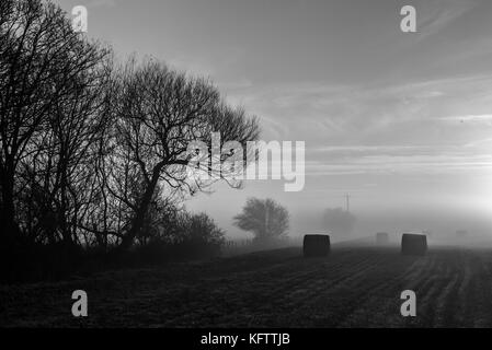 Soir brumeux dans la campagne anglaise avec des balles de foin Banque D'Images