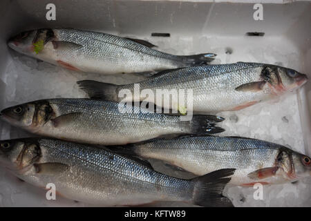 Vue rapprochée des poissons crus Banque D'Images