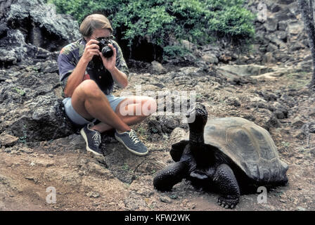 Une tortue géante des Galapagos (Chelonoidis nigra) se déplace lentement devant un touriste qui prend de l'occasion pour tourner un gros plan du reptile rare qui est originaire des îles Galápagos (Archipiélago de Colón), une province de l'Équateur dans l'océan Pacifique au large de la côte ouest de l'Amérique du Sud. Ces 20 îles et leurs tortues ont été rendus célèbres par naturaliste anglais Charles Darwin, qui a élaboré sa théorie de l'évolution fondée sur sa visite dans les Galapagos en 1835. Aujourd'hui les 15 espèces de ces énormes tortues sont estimés à 20 000 à 25 000. Banque D'Images