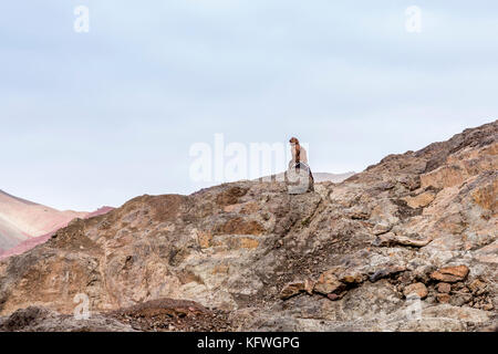 Megdaz, Maroc, le 15 octobre, 2017 : les populations berbères à Megdaz, un village situé dans la région de montagnes du haut atlas, construit sur les pentes des montagnes, fait de Banque D'Images