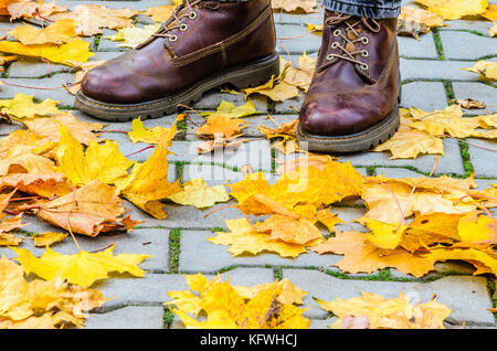 Les jambes dans des bottes marron en cuir entre les feuilles d'érable tombé sur un revêtement en béton gris. à pied dans le parc de l'automne. Banque D'Images
