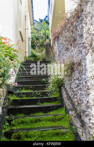 Colorés, végétation, l'ardoise marches menant à une rue ; Dartmouth Dartmouth, Devon, Angleterre. Banque D'Images