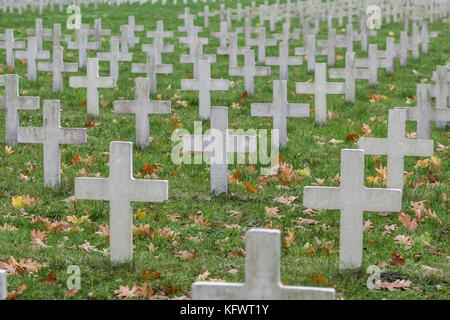 Gdansk, Pologne. 1er novembre 2017. Une vue générale du cimetière militaire français de Gdansk, en Pologne est vu sur 1 novembre 2017 les gens paient à l'honneur des soldats français sont morts dans l'occasion de la toussaint (wszystkich swietych. Le cimetière détient 1152 organismes, dont 329 qui n'ont pas été identifiés. Parmi eux il y a des prisonniers de guerre, les combattants de la résistance ou des déportés politiques, des recrues de la service du travail obligatoire, des Alsaciens enrôlés de force dans l'armée allemande et des fugitifs qui s'étaient enfuis de camps de détention et qui se sont battus avec la résistance polonaise. crédit : Michal fludra/ Banque D'Images