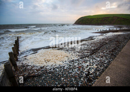 Scènes côtières de St Bees Head. La station de sauvetage RNLI offre ici une protection vitale aux marins et aux touristes. Plage polluée et a besoin d'être nettoyée. Banque D'Images