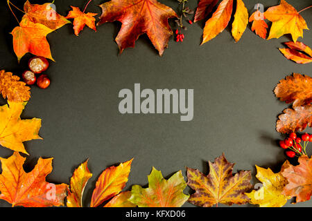 Motif de feuilles d'automne, les châtaignes et les fruits d'aubépine disposés autour de tableau noir - place pour le texte Banque D'Images