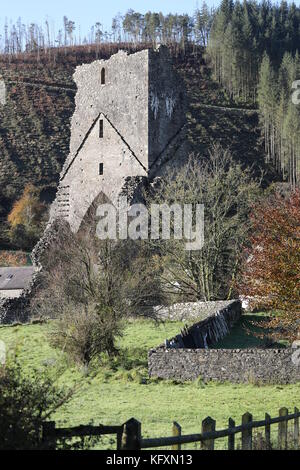 Les ruines de l'abbaye de Talley Banque D'Images